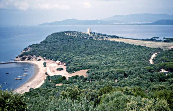 B&B immerso nella natura in maremma