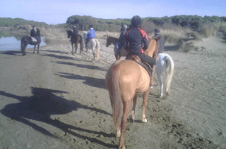 andare a cavallo sulla spiaggia a Follonica