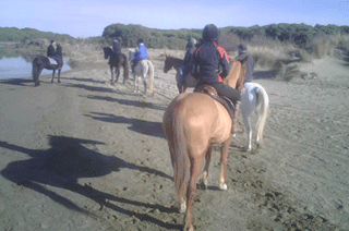 andare a cavallo sulla spiaggia a Follonica in Maremma