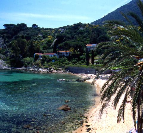 Escursioni di un giorno in barca nel parco dell´arcipelago toscano