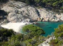 Escursioni di un giorno in barca nel parco dell´arcipelago toscano