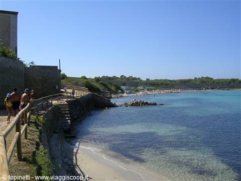 Escursioni di un giorno in barca nel parco dell´arcipelago toscano