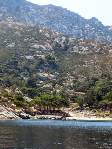 Escursioni di un giorno in barca nel parco dell´arcipelago toscano