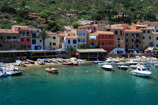 Escursioni di un giorno in barca nel parco dell´arcipelago toscano