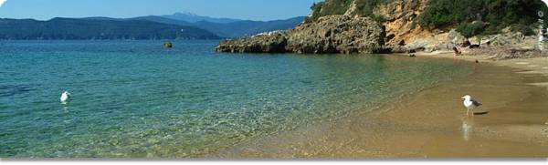 Escursioni di un giorno in barca nel parco dell´arcipelago toscano