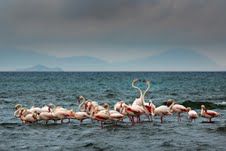 B&B di lusso nella natura a follonica