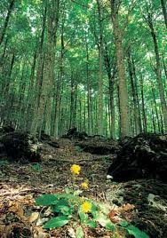 Il Monte Amiata