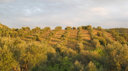 ricevimento nozze a follonica in maremma toscana