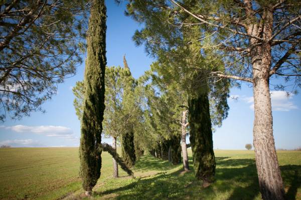 offerte turistiche a follonica