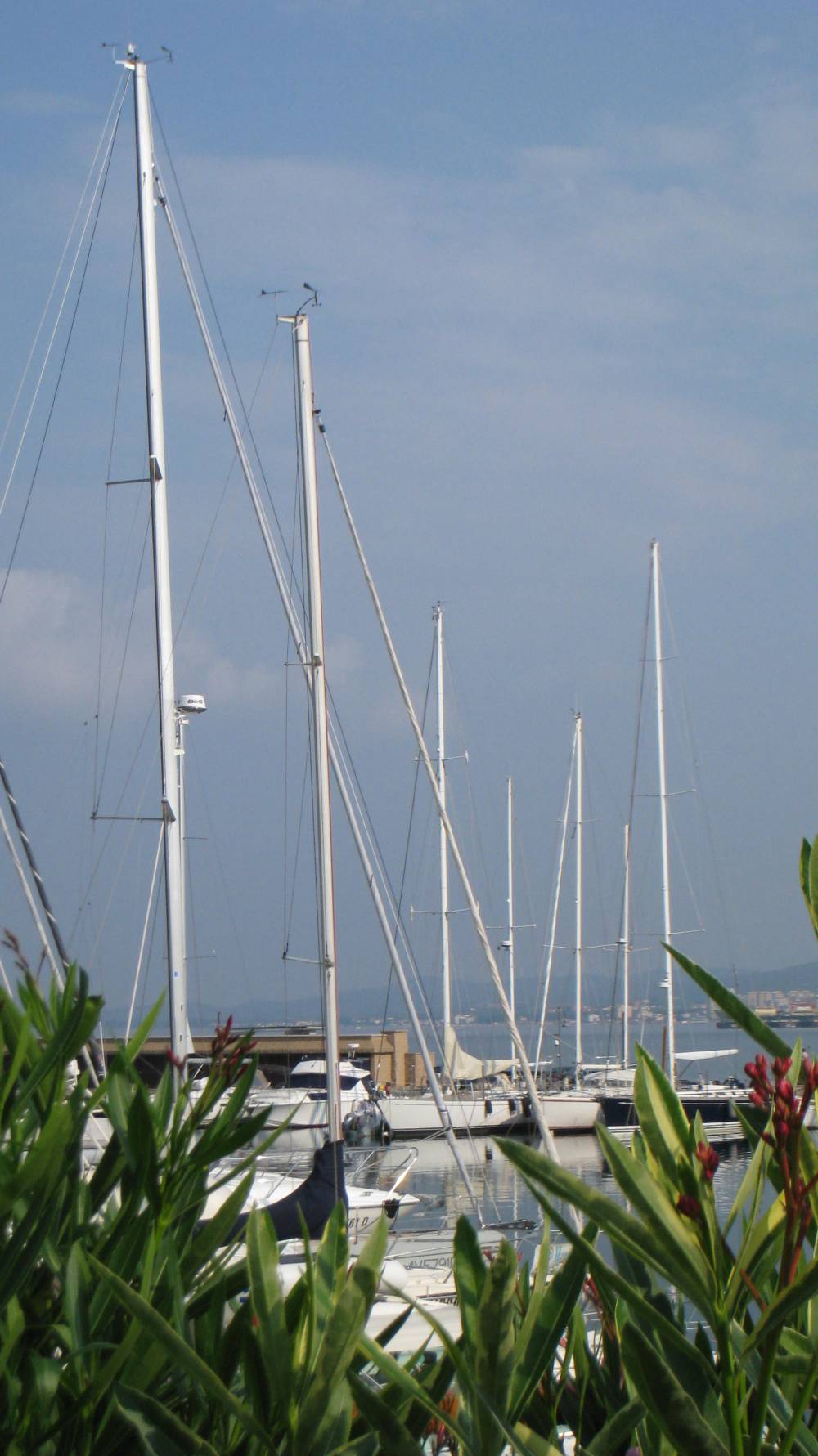 Scorcio del porto di Follonica