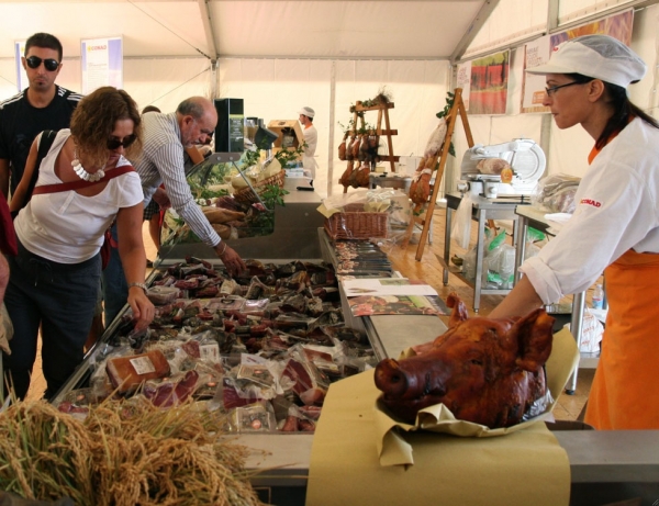 La via del vino e dell´olio, le cantine, le sagre e la cucina toscana