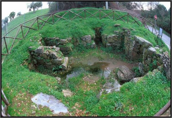 Musei: siti etruschi e romani