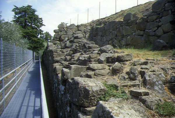 Musei: siti etruschi e romani