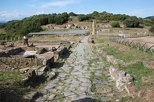 Musei: siti etruschi e romani
