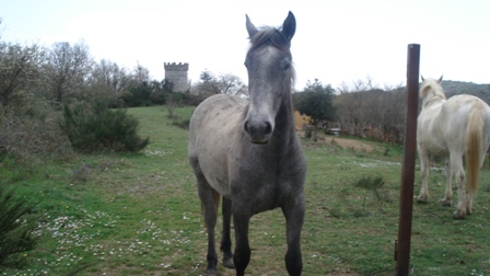 Parco dell´Uccellina e Monte Argentario