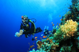 Diving e snorkeling a Follonica