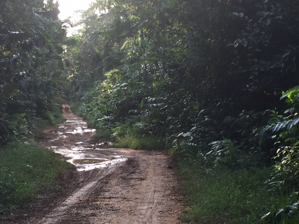 vacanza avventura nell'isola di principe nelle isole del cacao Sao Tomè e principe in africa