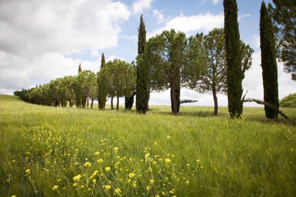 sale per matrimoni a follonica in maremma toscana