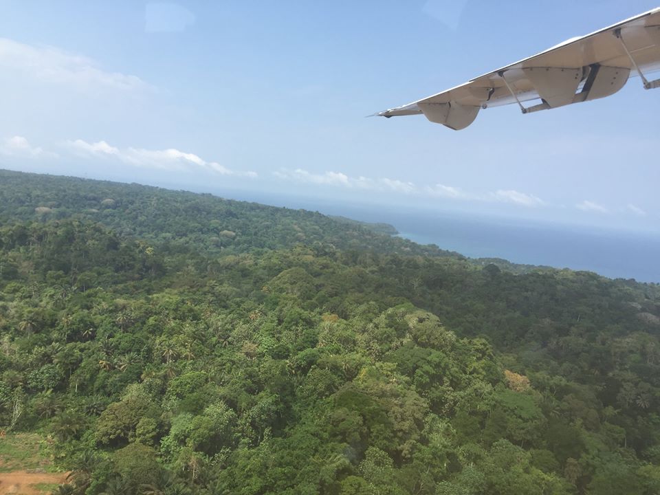 Affittare casa per scoprire la foresta e le piantagioni a Principe